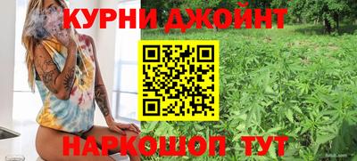 крисы Анапа